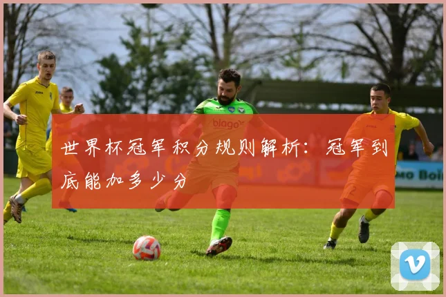 世界杯冠军积分规则解析:冠军到底能加多少分