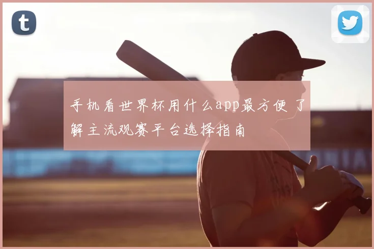 手机看世界杯用什么app最方便 了解主流观赛平台选择指南