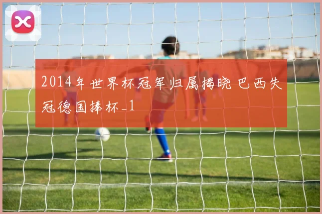 2014年世界杯冠军归属揭晓 巴西失冠德国捧杯_1