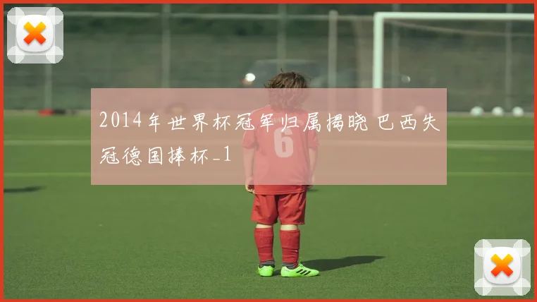 2014年世界杯冠军归属揭晓 巴西失冠德国捧杯_1